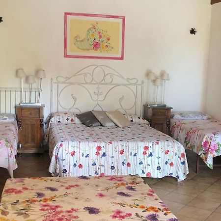 Casale Fedele Family Relax B&B Vicino Al Borgo Ronciglione  Exterior foto